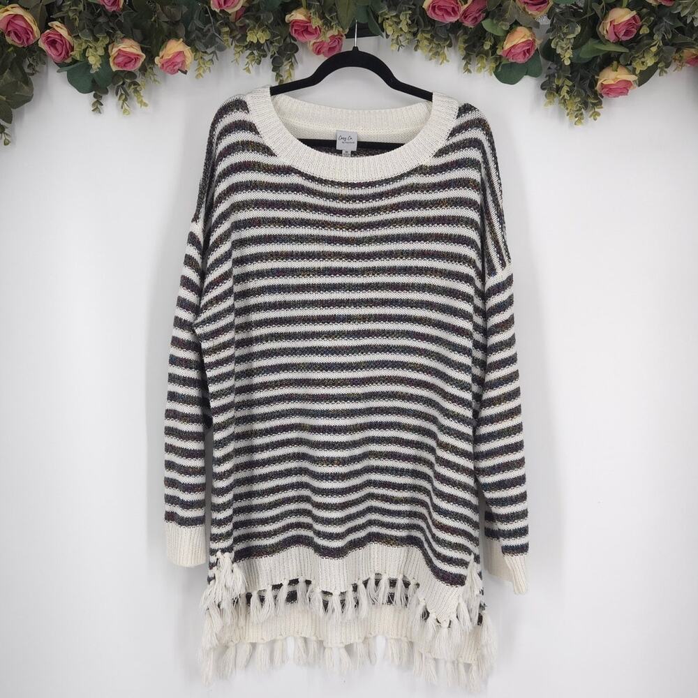 Cozy Co. by Cozy Casual Striped Fringed Long Sleeve Plus Size Sweater Size 3X